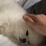 夢でも見てるの？