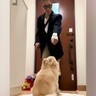 『散歩帰りの犬の足を拭きたい飼い主』VS『興奮中の犬』らちが明かない攻防戦が96万再生「だるまさんが転んだ状態で草」「煽ってるｗ」と爆笑