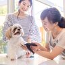 犬に必要な『お手入れ』はプロと飼い主さんの二人三脚で