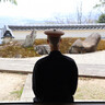 天空の山寺「養東院」で枯山水の庭を眺めながらお灸体験（岡山市）