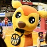 【奈良の鹿キャラ特集】プロバスケットボールチーム「バンビシャス奈良」のチームキャラクター　シカッチェ