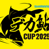 2025