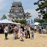 えむの森fest.（2024年4月28日開催）～