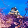 【大阪】夜桜スポット6選！桜のライトアップ名所やイベントを紹介