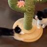 全速力で走ってきた子猫に、先住猫が……まさかの『職人技』が見事すぎると爆笑の声続出「ベテランだねｗ」「何回見ても笑える」
