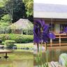 5/3〜5の3日間限定！日本庭園を眺めながらの茶会『芦屋釜の里　開園記念茶会』【2025GW特集】