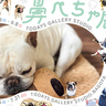 5/23(金)～6/8(日)｜TODAYS