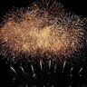 安倍川花火大会は中止でも…これからが本番　静岡県で楽しめる花火大会10選