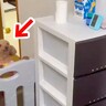 閉めたはずの棚→なぜか毎回開いていると思ったら…犬がしていた『想定外すぎる行動』が138万再生「人間には思いつかない経路ｗ」「隠し扉」