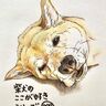 柴犬あるある、ぷよぷよ顔のお肉に触りたくなるとこ
