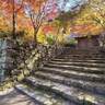 【11/1～】三原市の紅葉名所「佛通寺」。紅葉シーズンに佛殿や本堂などが拝観できる「秋の特別拝観」開催