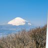 金時山の厳選3コースで箱根随一の富士山絶景を堪能｜登山ガイドの初心者向け解説【新宿から登山口までの高速バスも】