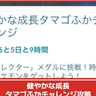 【ポケモンGO】「健やかな成長タマゴふかチャレンジ」内容、リワードまとめ│2kmタマゴから生まれるポケモンが対象！ふか確率は？など併せて解説