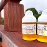 〈大和郡山市〉奈良の城跡で作った『御殿はちみつ』が今年も数量限定で発売開始！