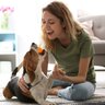 犬が『遊び』に興味を示さないのはどうして？愛犬に楽しく遊んでもらうためのコツを解説