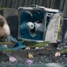 「何をしますか？」無人島に漂着した最新型アシスト・ロボット“ロズ”が起動『野生の島のロズ』本編映像