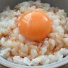 究極のおいしさ！卵かけご飯のおすすめアレンジレシピ12選