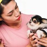 『アクセサリー感覚』で犬を飼っている人の特徴6選　都合のいい存在だと思っている飼い主がする行動とは