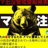 新潟県、クマ出没警戒「注意報」を「警報」へ引き上げ　11月30日までを「クマ出没警戒強化期間」に