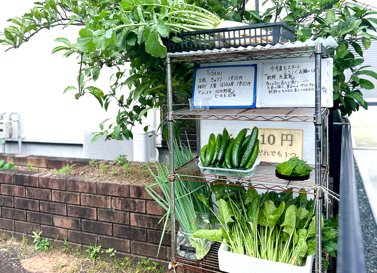 AqrN6ZEr8hvRuGCKSskqoAciU4TNZR