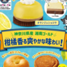 ファミマから「湘南ゴールド」の爽やかな香り＆甘みを楽しめるスイーツ・パンが出るよ～！関東地方の店舗限定で27日から。