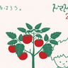 トマト尽くしの体験イベント