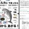 「イルカ＝友好的」は間違い！元水族館職員の絵本作家が伝えたい“危険性”