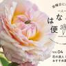 今が最盛バラからベランダ菜園まで！花の達人！おすすめ園芸4選【一人一花はなきん便り】