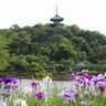 【お出かけ情報】まるで日本画の中にいるような美しさ！原