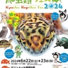 博多で爬虫類の祭典『九州爬虫類フェス2024』開催、猛禽類フライトショーやピエロショーなど親子で楽しめるプログラムも