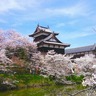 奈良県でお花見！「日本さくら名所100選」に選ばれし桜とお城まつり【史跡郡山城跡｜大和郡山市】