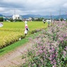 最後の竹松萩まつり