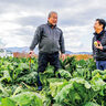 小規模生産者の希少な食材と料理人を繋げるプラットフォーム　株式会社ミナト