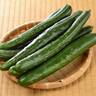 お箸が止まらないよ……。「きゅうり」が感動するほどウマくなる食べ方