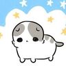 新しい家族、もーちゃんの慣れない環境【猫エッセイ】もふもふスコたん