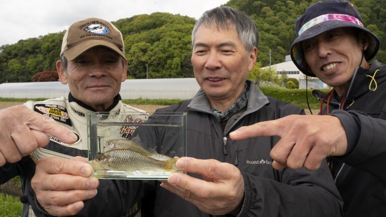 【新発売】 琵琶湖のタナゴ釣り】バイクで巡る湖北エリアの水路 濁りの 絵画