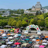 姫路城に春の訪れ♡桜の花咲く大手前公園で「第12回