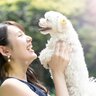 犬と暮らして気付く『大変なこと・幸せな瞬間』とは　お互いが幸せに過ごすために覚悟しておくべきこと