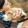 犬の性格が突然変わってしまう要因5つ　愛犬に起きた変化とは？正しい対処法まで解説