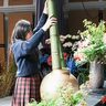 アクリエひめじで「第2回高校生花いけバトル姫路大会」開催！即興5分で表現する“花舞台”の観覧を♪
