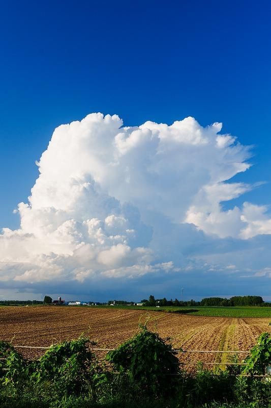 北海道の絶景】夏空を彩る、入道雲。今だけの風景を、飛行機や畑
