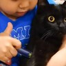 病院嫌いな猫が『子供のお医者さんごっこ』に付き合った結果…まさかの反応が可愛すぎると448万再生「俺は患者俺は患者…」「諦めの境地」
