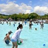 神戸総合運動公園の「無料」水遊びスポット『ちゃぷちゃぷ池』がシーズンオープンするみたい