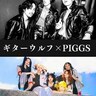 PIGGS、ギターウルフとの2マンライブ開催決定！