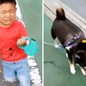 犬の散歩中、叱られてしまった男の子…当時では考えられない『6年後の姿』が頼もしすぎると16万再生「めっちゃお兄さん」「泣ける」と感動