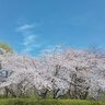 【天気予報】4月11日の新潟県内は高気圧に覆われて晴れ、昼過ぎから時々くもり