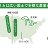 アメリカが世界トップの経済大国になったワケとは？広い国土の特徴や隣国との関係【図解