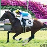 ドウデュースも勝った【朝日杯FS】グランドオープン後の京都競馬場で一度も勝っていない「死の馬番」に入った馬とは！？