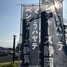 静岡県民限定「プロ野球タダ観戦」　好評企画再び！　日本ハム戦など計9試合無料