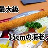 日本最大級！
